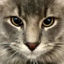 14 + girls any age that want to fuck or do anything dm me discord icon