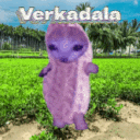 Ver Kadala
