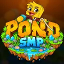 The Pond