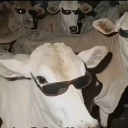 Muddy Den Discord server icon