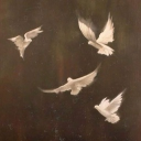 Ｓｏｌａｃｅ Discord server icon