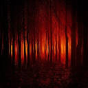 DeadSignal Discord server icon