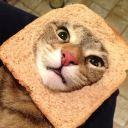 🥖·.𝕓𝕚𝕤𝕔𝕦𝕚𝕥 𝔹𝕒𝕜𝕖𝕣𝕪.·🍞 Discord server icon