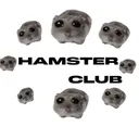 HAMSTER CLUB discord icon
