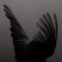 ᎧᏒᎮᏂᎥc ☾⋆