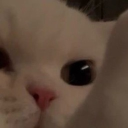 ꩜ whirly whirls Discord server icon