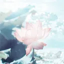 𝑵𝒊𝒍𝒐𝒖・𝑮𝒂𝒄𝒉𝒂 ✨