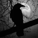Midnight Reverie