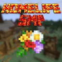 HomeLifeSMP