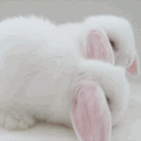 //buni