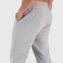 farting palooza's icon