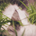 ‧₊ ᨦ ꒰ Stay Awhile … Art Server ꒱ ☕🐾 Discord server icon