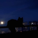 System Sourcecall City 🌃ִ Discord server icon