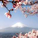 PABLO'S BOYS AND GIRLS MEGA FILES AND GROUP Discord server icon