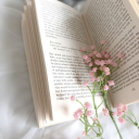 Teri's Little Library Discord server icon