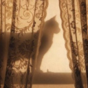 !   TPIS's  ☼   Brew Shop !!  ⬷ Discord server icon