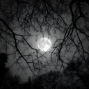 𝕸𝖔𝖔𝖓𝖆𝖈𝖗𝖊 𝕱𝖆𝖑𝖑𝖘 19+