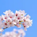 時空のまほろば