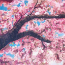 🌸𝐒𝐚𝐤𝐮𝐫𝐚 𝐒𝐚𝐧𝐜𝐭𝐮𝐚𝐫𝐲🌸 Discord server icon