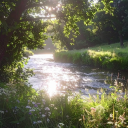 Daily Good News Discord server icon