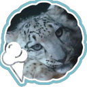 ⁺₊❅. Snow Cubs Discord server icon