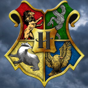 the wizarding world ⚯⚡ Discord server icon