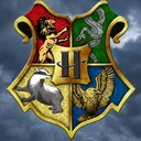 the wizarding world ⚯⚡