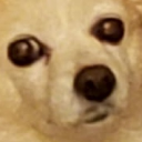 Awsumbürg Discord server icon