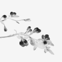 LA PAŚION Discord server icon