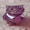 chaseland Discord server icon