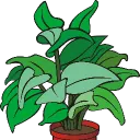 NotDafffodil's Garden