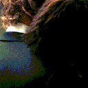 ॱֺ ⑅   Rι𝓋αlry   ݂ Discord server icon