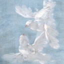 bloom angel Discord server icon