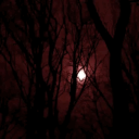 𝚂𝚘𝚏𝚝 𝙻𝚊𝚞𝚗𝚌𝚑 Discord server icon