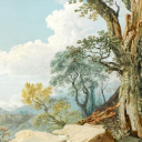 Western Washington Furs Discord server icon