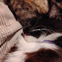 𝓣𝓱𝓮 𝓖𝓪𝓶𝓲𝓷𝓰 𝓒𝓮𝓷𝓽𝓮𝓻 Discord server icon