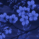 ·༻𝒯𝒽𝑒 𝐵𝒶𝓎 𝒪𝒻 𝒟𝓇𝑒𝒶𝓂𝓈༺·