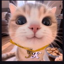 frissk | 8 Discord server icon