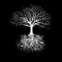 /rooted 𖣂 CHAT • VC • GAMES • NICHE's icon