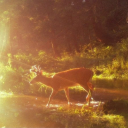 ℧Spence's Shindig♤ Discord server icon