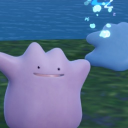 いっしょに、ぽこあっ！