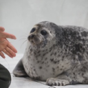 chud lane Discord server icon