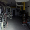 Sinyala’s basement dwellers