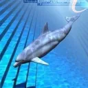 lenisland discord icon