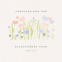 ˚˖𓍢𝑅𝑜𝑠𝑒 𝑀𝑒𝑛𝑡𝑎𝑙 𝐻𝑒𝑎𝑙𝑡ℎ🌷✧˚.🎀⋆ Discord server icon