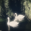 ⋆˚࿔ Veil of enchanted realms||RH rp server ༄ Discord server icon