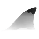 Yivani Blacktip