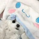 Puppycore Place / SFW~ ໒꒰ྀི˶˃ᆺ˂˶꒱ྀི১