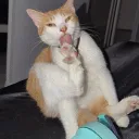 Streamer Growth's icon