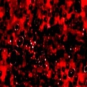 𝙎 𝙡 𝙖 𝙪 𝙜 𝙝 𝙩 𝙚 𝙧  ,  𝒉 𝒐 𝒖 𝒔 𝒆 𓂃🩸 Discord server icon